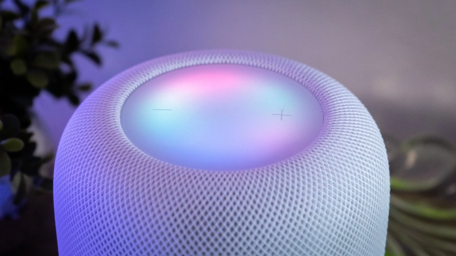 Apple-ın Yeni Cihaz Xətti "HomeView" Adını Daşıya Bilər: Bütün İşarələr Buna Dəlalət Edir