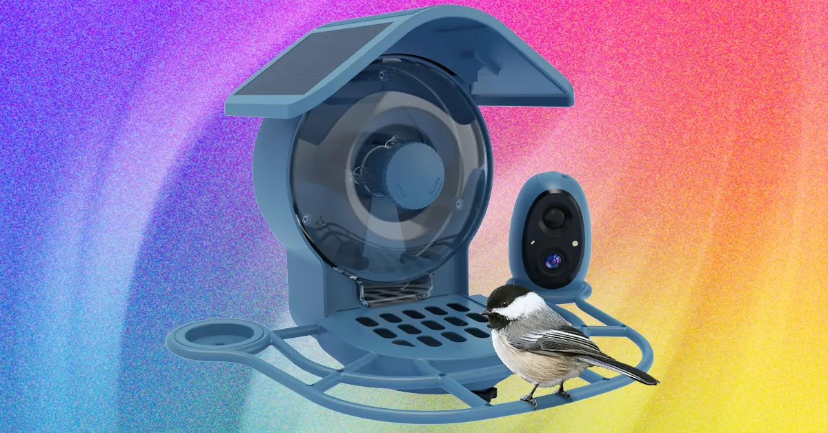 Coolfly Aura İcmalı: Daha Çox Bucaq, Daha Az Üstünlük