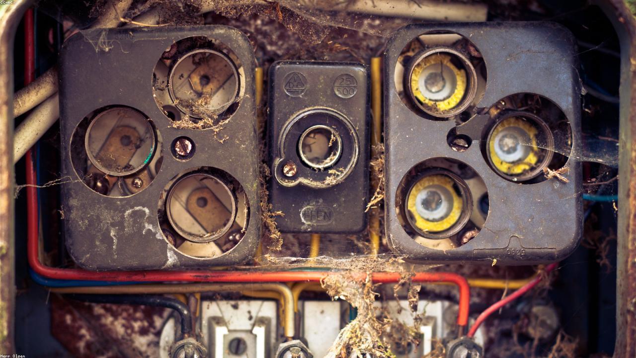 Elektrik Avtomobillərinə Keçid: Siyasət və Xərclərin Azaldılması Əsasdır