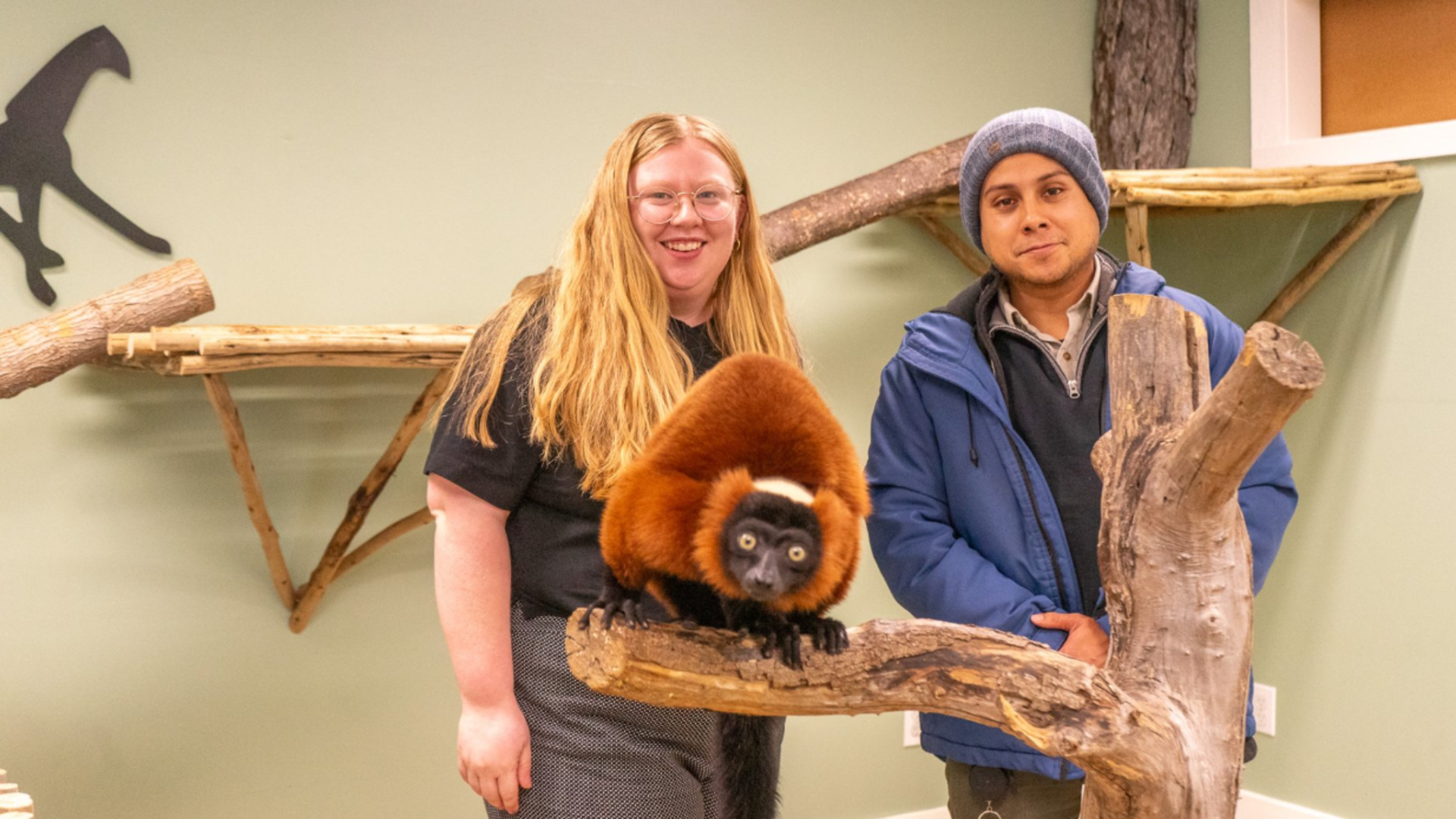 Heyvanlar Texnologiya ilə Söhbət Etmək İstəyir: Qoruma Üçün Güclü Bir Gələcək