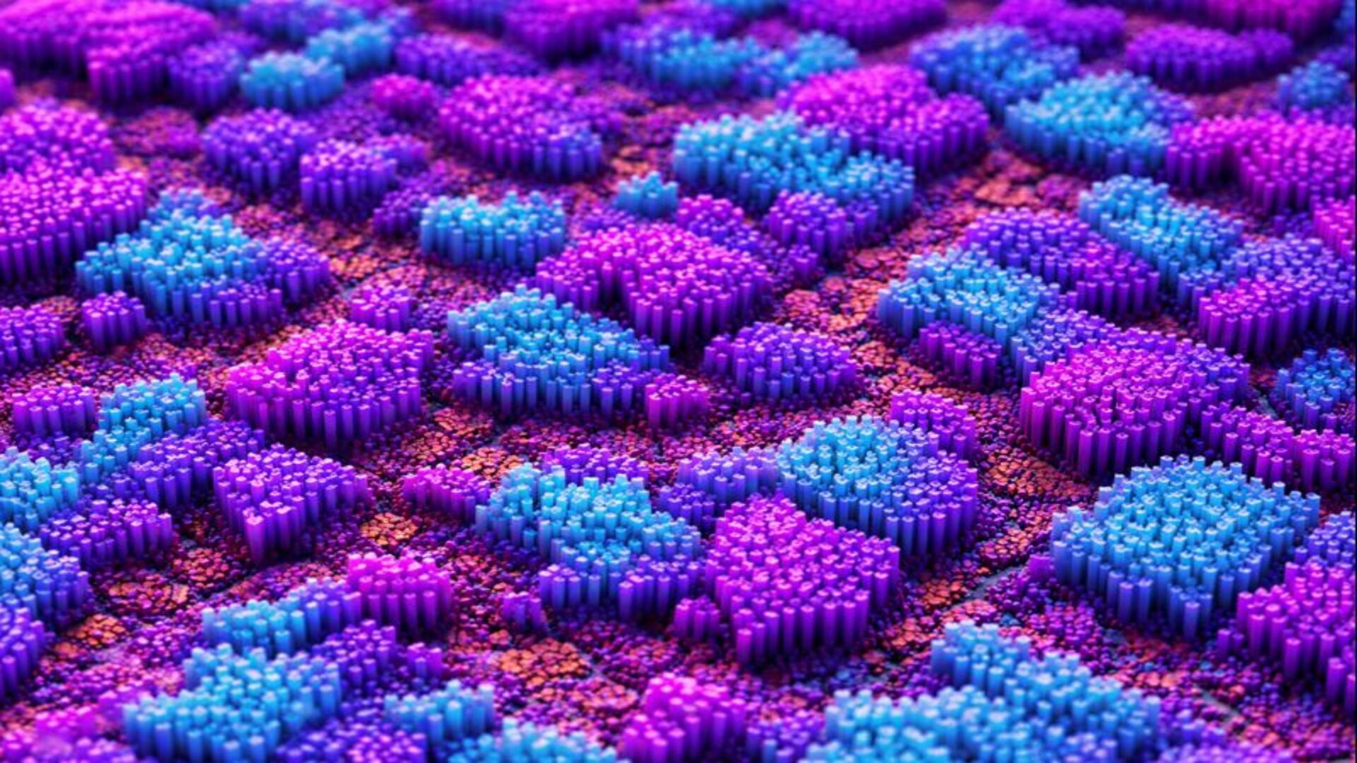 'İsveçrə Ordusu' optik çipi: Daha sürətli və yaxşı genişzolaqlı bağlantı üçün yeni texnologiya