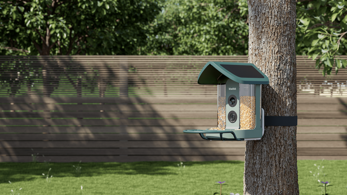 Kiwibit Bird Feeder Pro ilə Bağçanızda Təbiəti Yaxından İzleyin