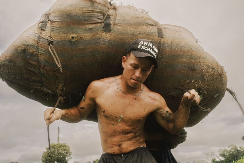 Sony World Photography Awards 2026: Sürpriz Kamera Seçimləri ilə Möhtəşəm Şəkillər