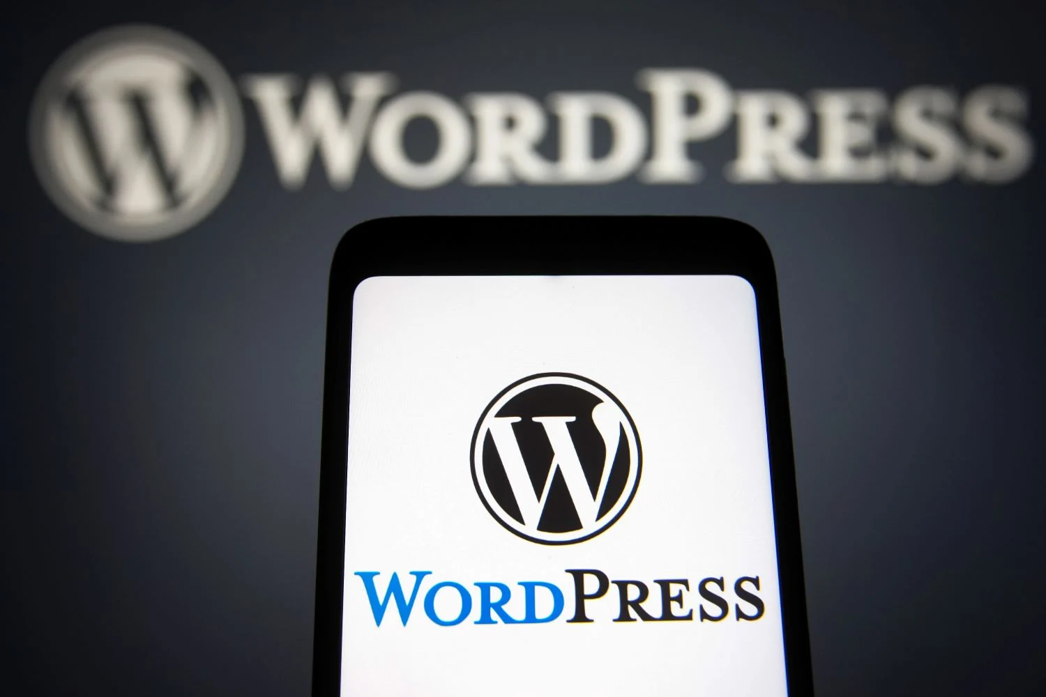 WordPress-in Ana Şirkəti Automattic-də CEO-ya Qarşı Çevriliş Cəhdi Uğursuz Oldu