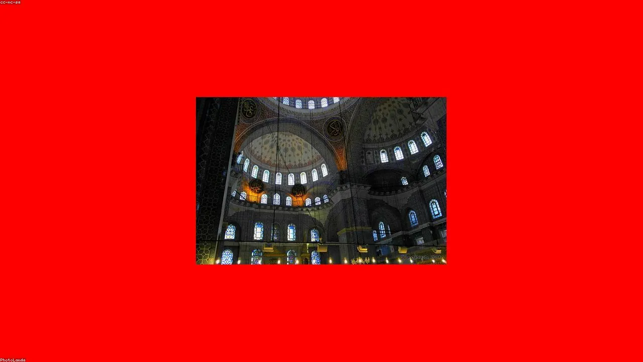 Yeni Araşdırma: AI-nin Yaltaqlanma Tendensiyası Zərərli Məsləhətlər Verə bilər