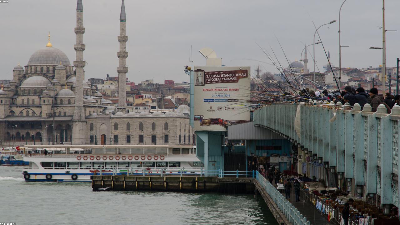 Yeni İonogel: Çəkisindən 5,000 Dəfə Artıq Yüklə Dözümlü, Dəriyə Yumşaq