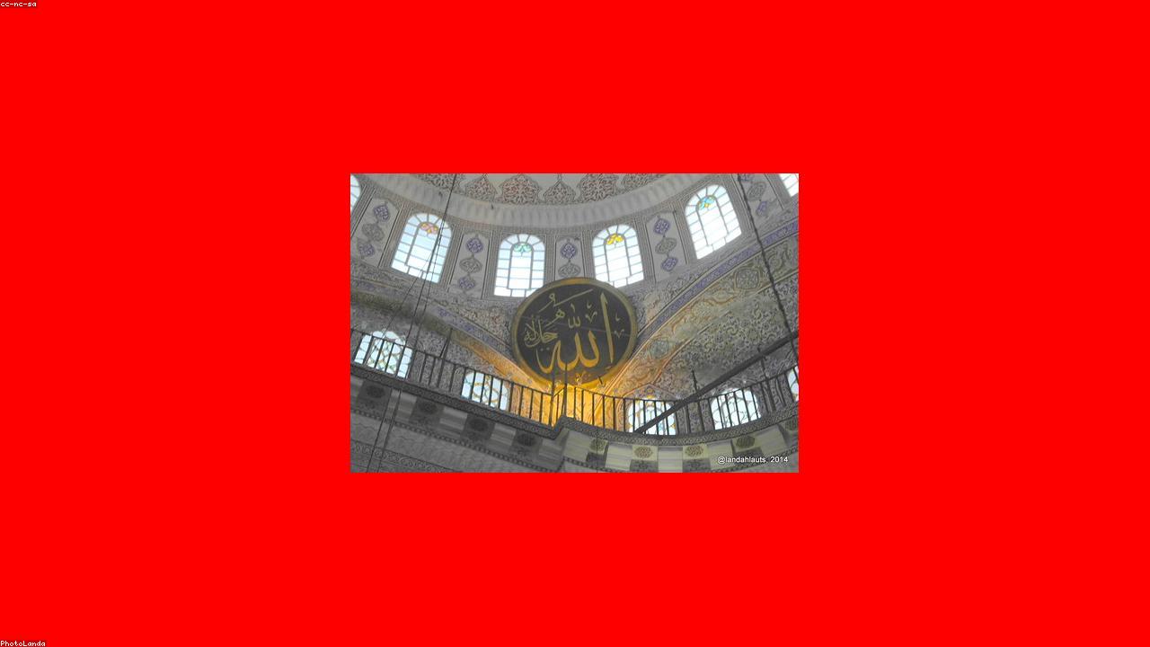 Yeni Süni Əzələ: Zədələrdən Bərpa Olunan və Real Zamanlı Forma Dəyişən Texnologiya