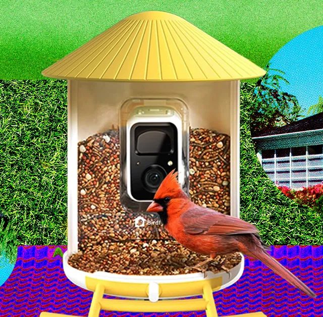 Ağıllı Quş Yemləyicilər: Hər Kəsin Danışdığı Yeni Trend