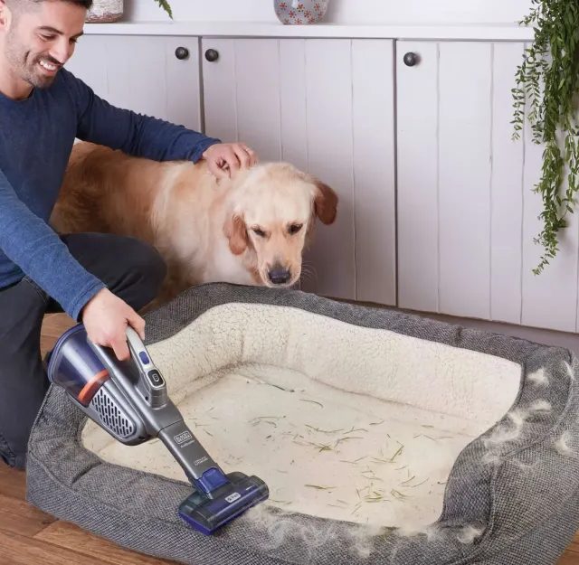 Amazon Böyük Yaz Endirimləri: Bahar Təmizliyi Üçün Ən Yaxşı Cihazlar