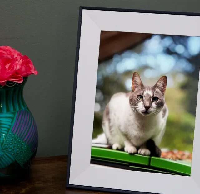 Aura Aspen Foto Çərçivəsi Endirimdə: Bu Həftəsonu 30 Dollar Qənaət Edin