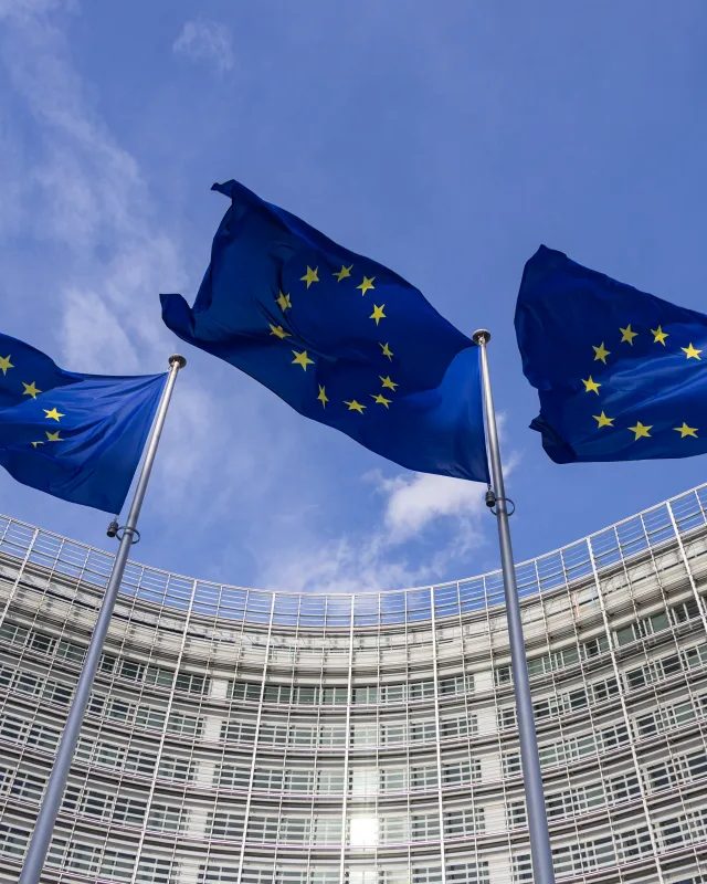 Avropa Kiber Agentliyi Böyük Məlumat Oğurluğunda Haker Qruplarını Günahlandırır