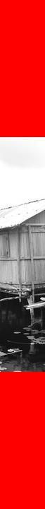 Beyin Hüceyrələri ilə Maşın Öyrənməsi: Gələcəyin Texnologiyası