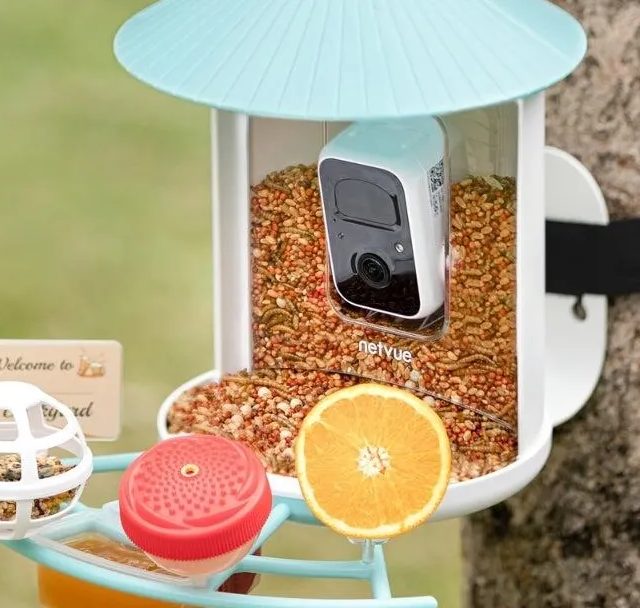 Birdfy’nin ağıllı quş yemliyi Analar Günü üçün ən yaxşı qiymətindədir