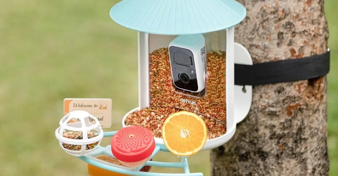 Birdfy’nin ağıllı quş yemliyi Analar Günü üçün ən yaxşı qiymətindədir