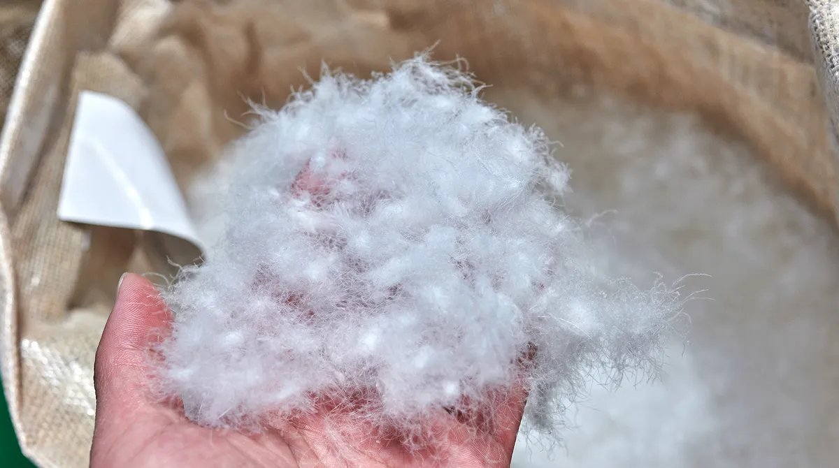 Down Fill Gücü nədir? (2026): Dolgu Çəkisi və Sintetiklər