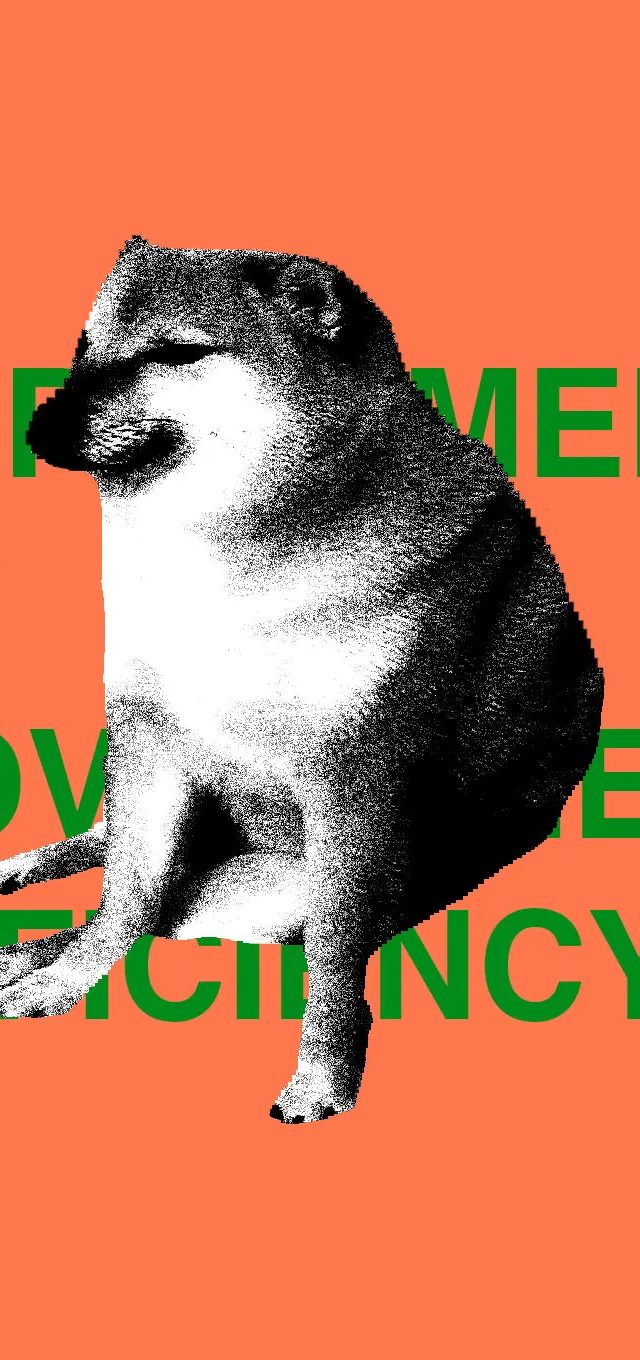 FCC, DOGE məlumatlarını gizlətməklə günahlandırılır