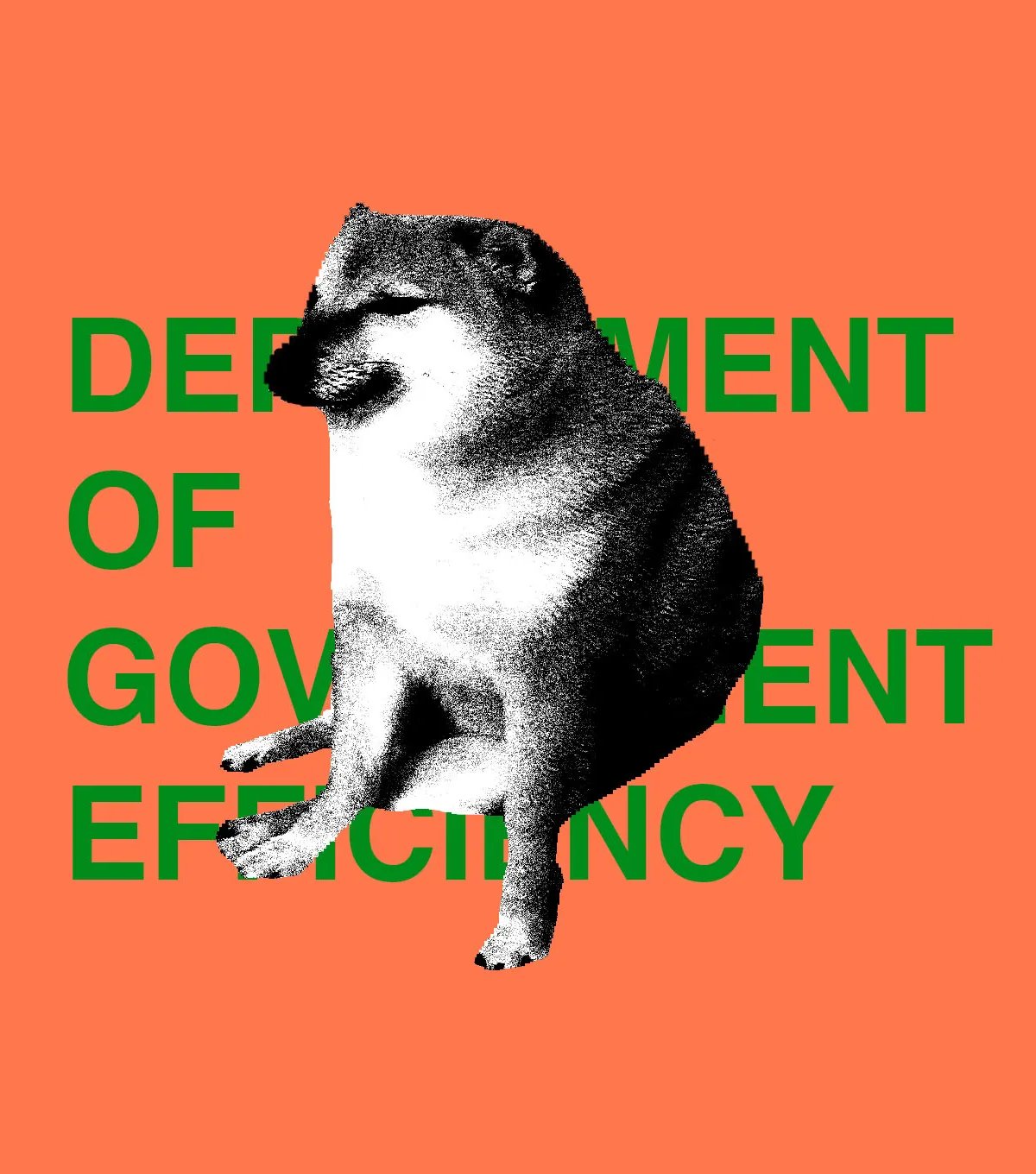 FCC, DOGE məlumatlarını gizlətməklə günahlandırılır