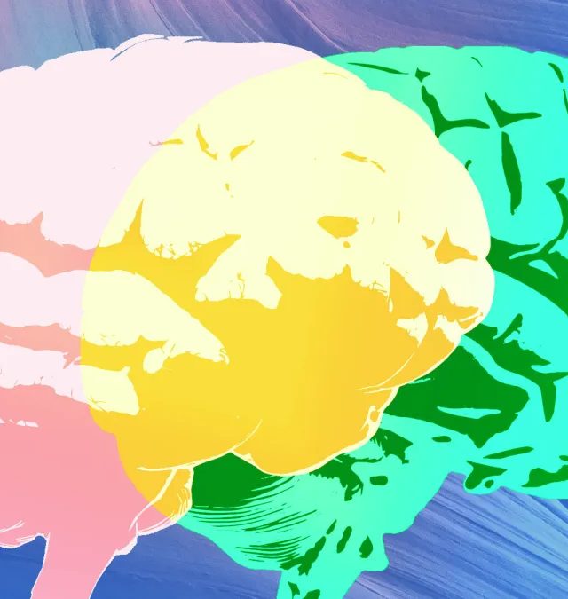 Grammarly-də Ekspert Rəyi: Əsl Ekspertlər Haradadır?