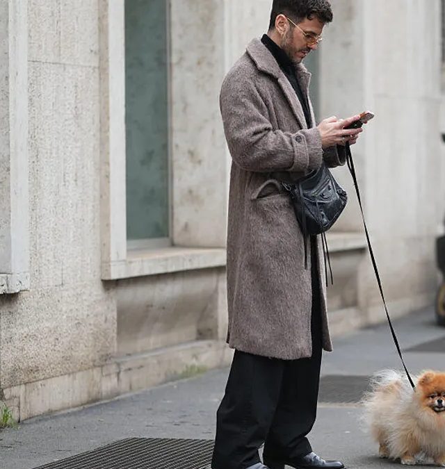 İtlərin Sağlamlığı AI Çatbotu ilə Rəqəmsal Dünyaya Daxil Olur