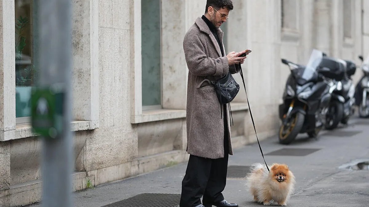İtlərin Sağlamlığı AI Çatbotu ilə Rəqəmsal Dünyaya Daxil Olur