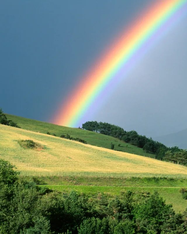 Keçmiş Apple komandası Acme Weather tətbiqini təqdim edir