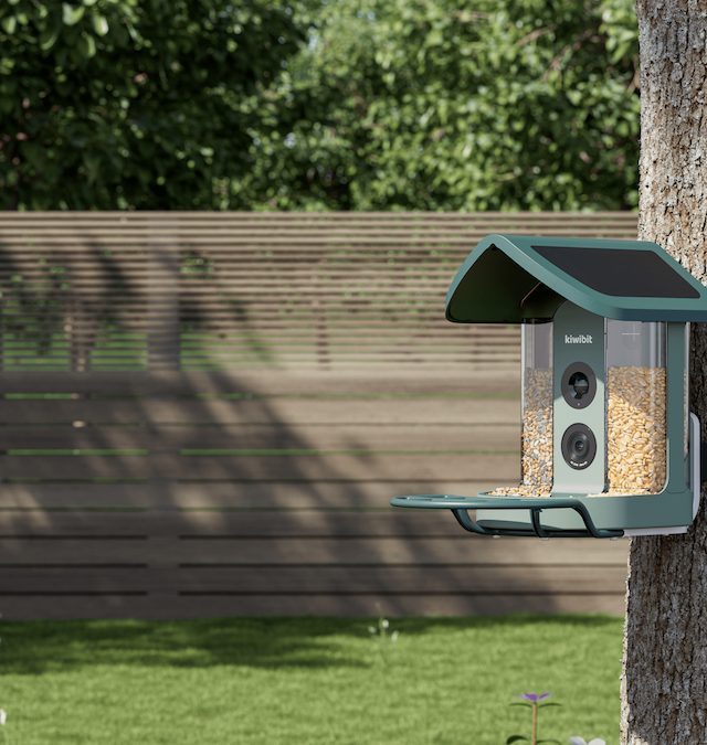 Kiwibit Bird Feeder Pro ilə Bağçanızda Təbiəti Yaxından İzleyin