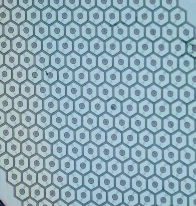 Max Hodak'ın Science Corp. Beyinə İlk Sensoru Yerləşdirməyə Hazırlanır