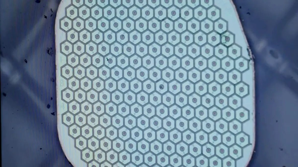 Max Hodak'ın Science Corp. Beyinə İlk Sensoru Yerləşdirməyə Hazırlanır