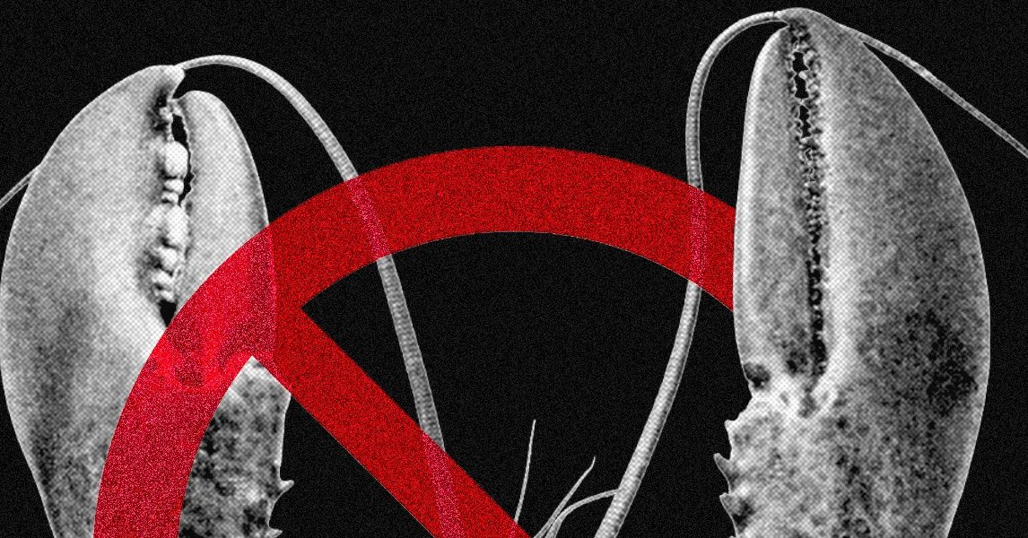 Meta və Digər Texnologiya Şirkətləri OpenClaw İstifadəsinə Məhdudiyyətlər Tətbiq Edir