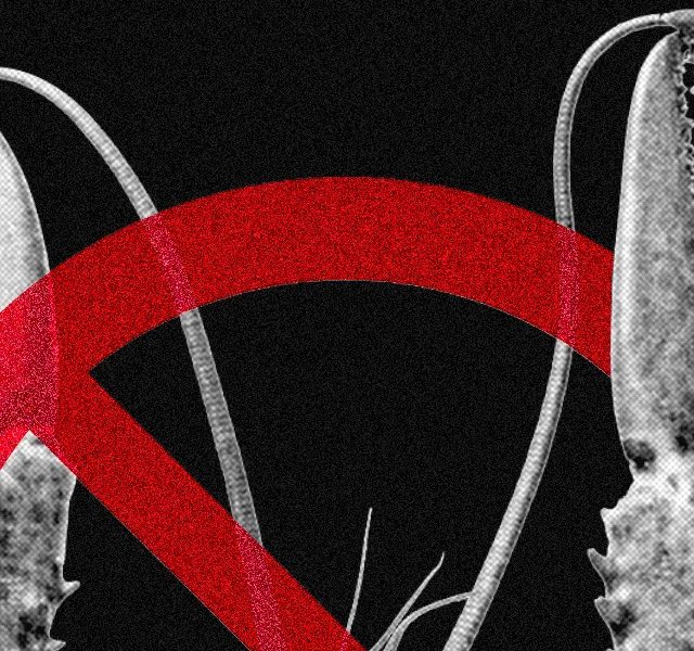 Meta və Digər Texnologiya Şirkətləri OpenClaw İstifadəsinə Məhdudiyyətlər Tətbiq Edir