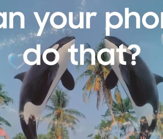 Niyə TikTok AI ilə yaradılan reklamları tanıya bilmir?