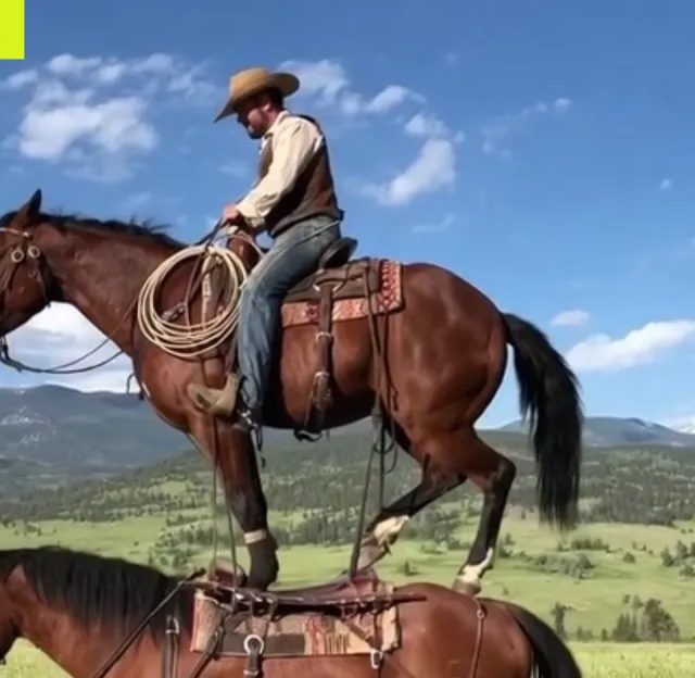 OpenAI, Disney ilə Böyük Razılaşmasından Əl Çəkdi