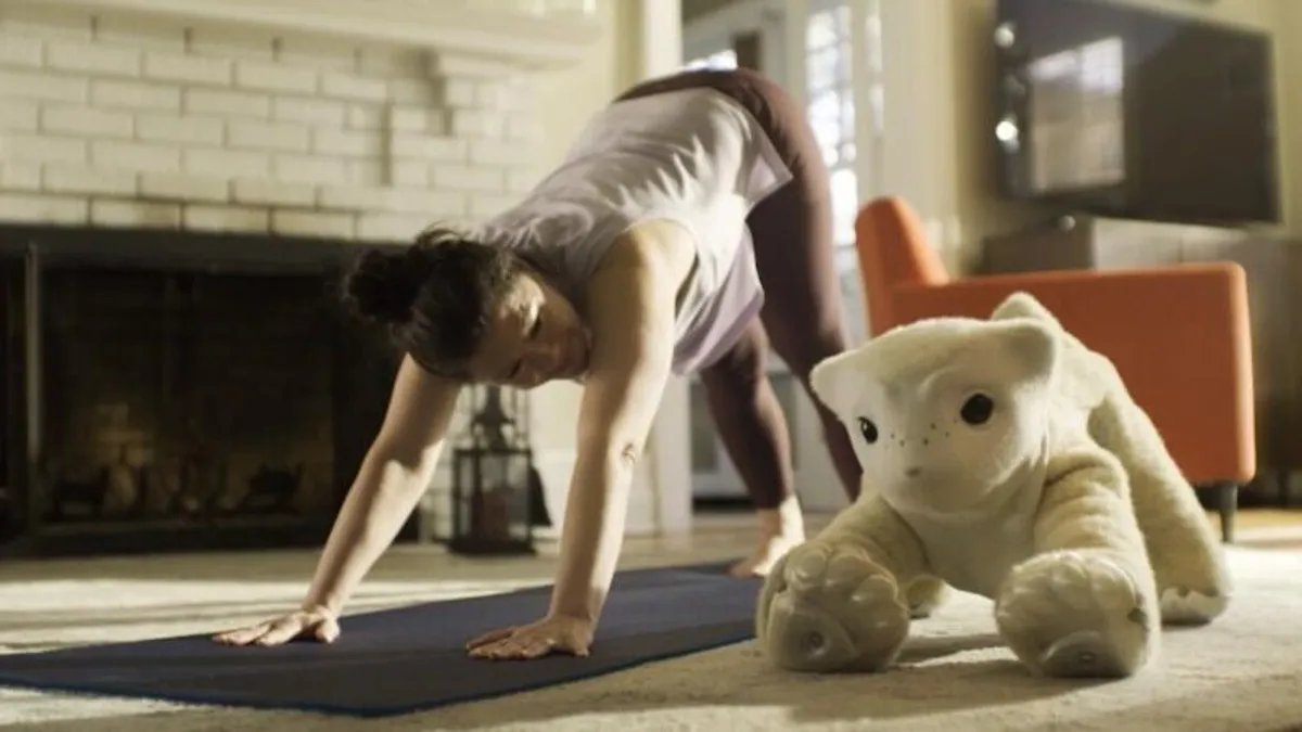 Roomba Yaradıcısından Yeni AI Robot Ev Heyvanı