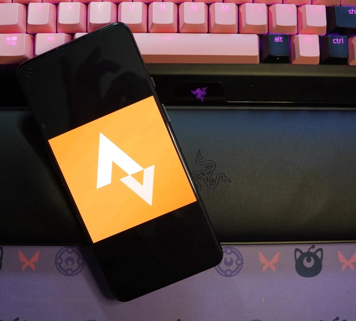 Strava tətbiqi Fransanın təyyarə daşıyıcısının yerini ortaya çıxardı